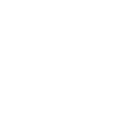 Ion USA